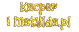 shopLogo