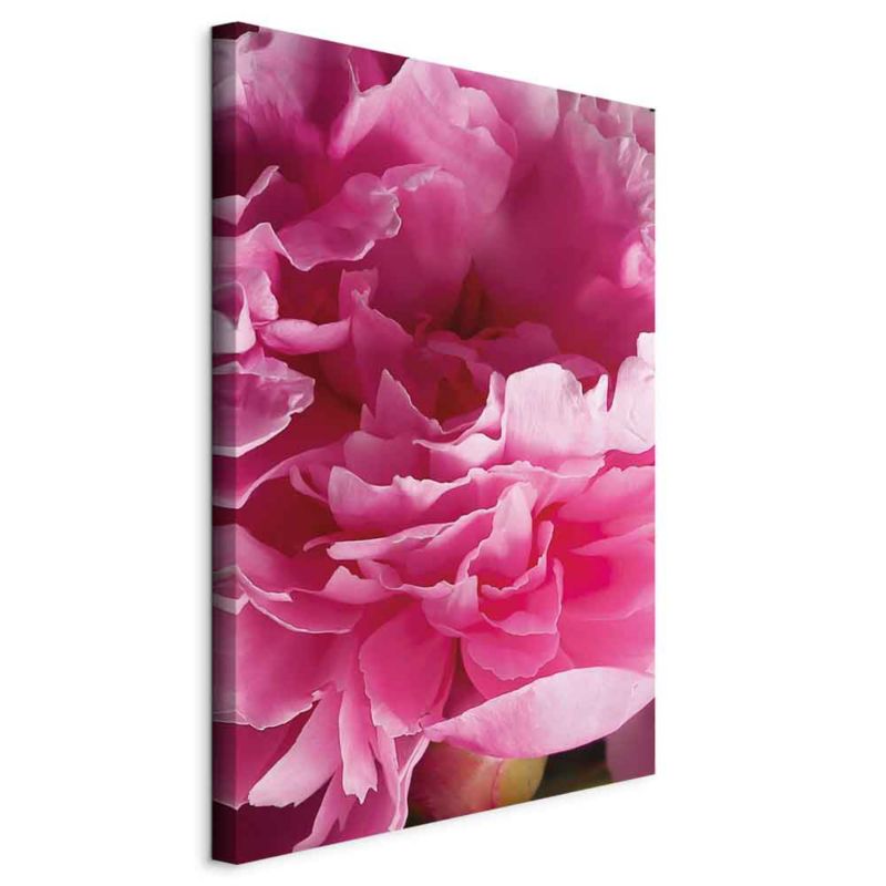 Obraz Artgeist Rozkwit piękna 40 x 60 cm płótno włoskie 1 szt