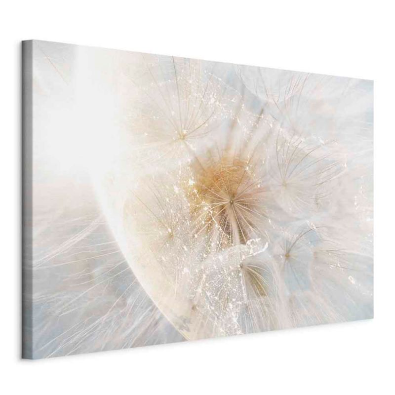 Obraz Artgeist Dmuchawiec w słońcu 90 x 60 cm flizelina 1 szt