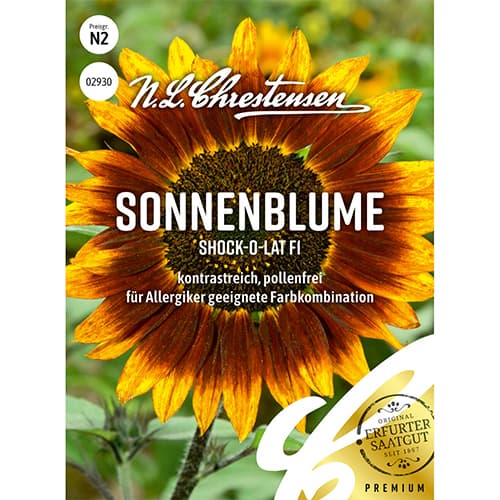1 pac, Floare soarelui decorativă Shock-o-lat F1 - Semințe: Mod de ambalare: 1 pac