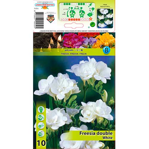 10 buc, Frezie Double White - Bulbi: Mod de ambalare: 10 buc