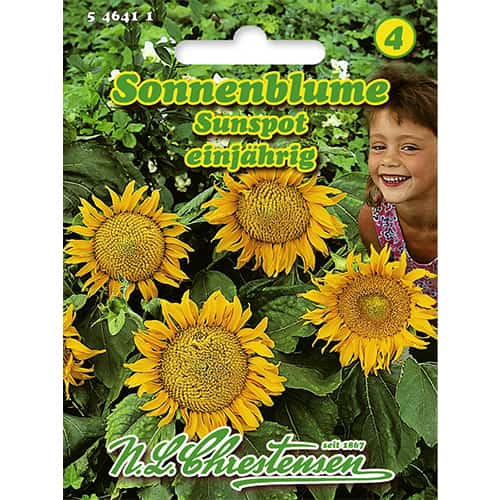 1 szt, Napraforgó Sunspot - Magok: Mod de ambalare: 1 db