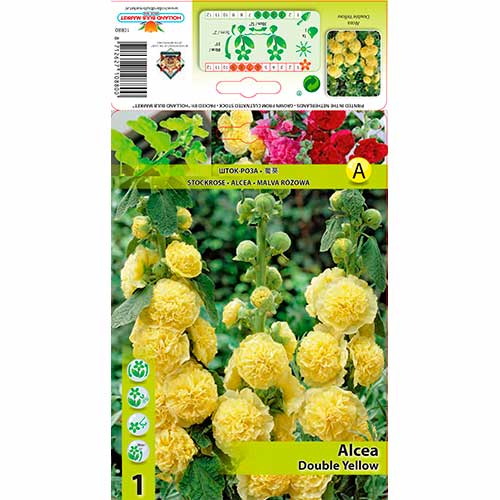 1 Stück, Gefüllte Stockrose Yellow - Stauden: Ilość w opakowaniu: 1 Stück