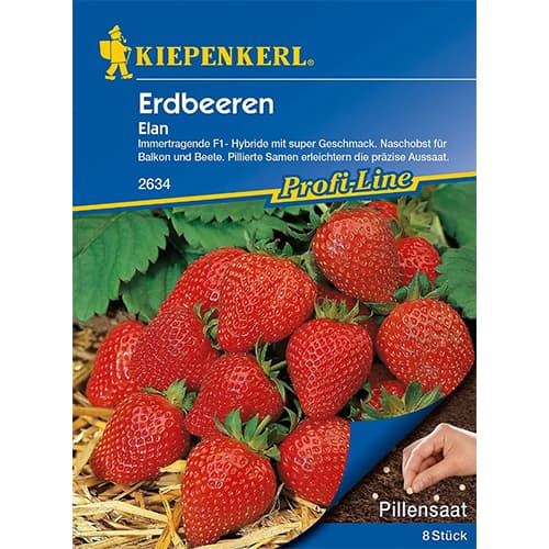 1 szt, Erdbeeren Elan - Samen: Ilość w opakowaniu: 1 Stück