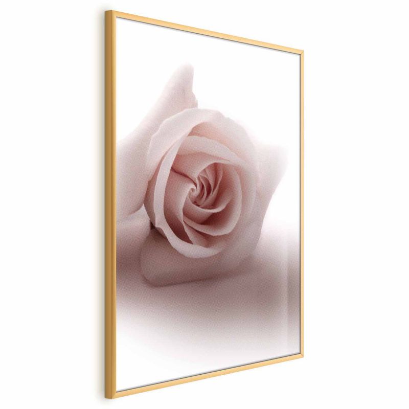 Plakat Artgeist Różany cień 60x90 cm z ramą złotą 1 szt