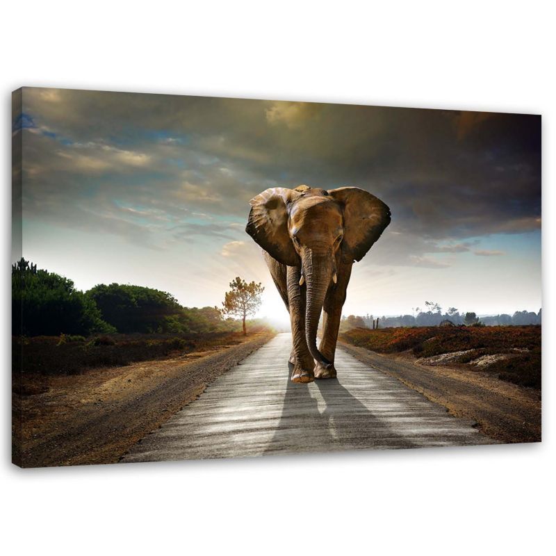 Obraz do salonu nowoczesny Feeby Słoń na drodze Brązowy 90x60cm 1szt