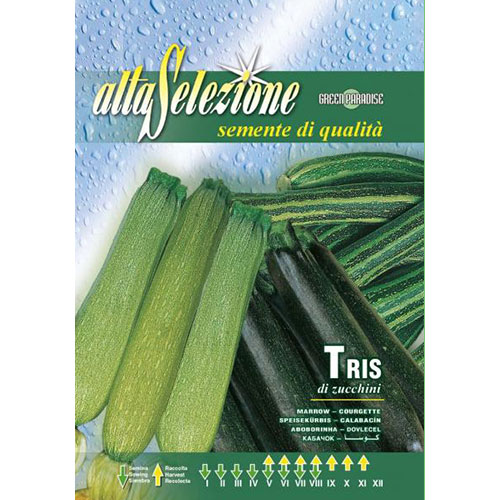 1 pac, Dovlecel zucchini Tris di Zucchini - Semințe: Mod de ambalare: 8 g