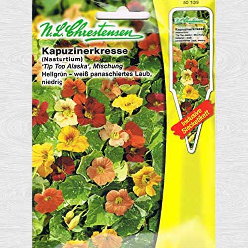 1 pac, Condurul doamnei Tip Top Alaska, mix multicolor - Semințe: Mod de ambalare: 1 pac