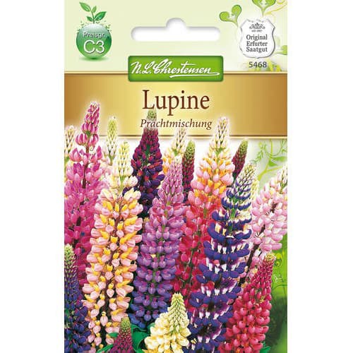 1 szt, Lupine Prachtmischung Chrestensen - Samen: Ilość w opakowaniu: 1 Stück