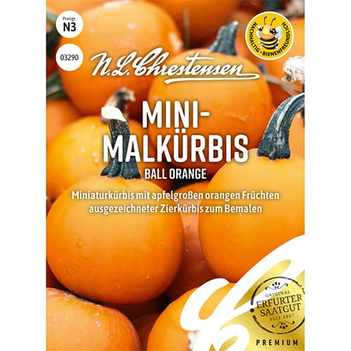 1 szt, Mini - Malkürbis Ball Orange - Samen: Ilość w opakowaniu: 1 Stück