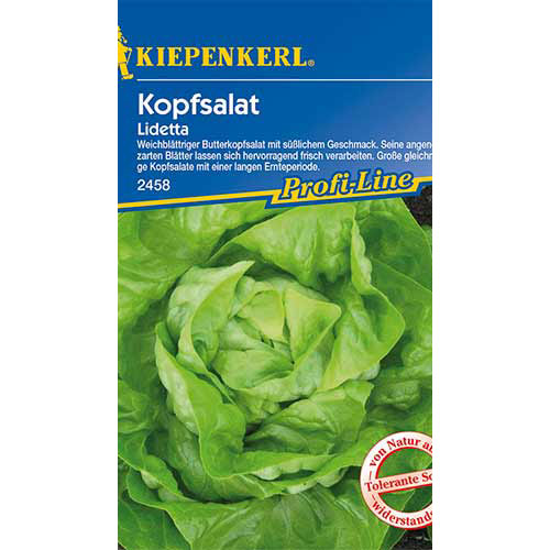 1 szt, Kopfsalat Lidetta - Samen: Ilość w opakowaniu: 1 Stück
