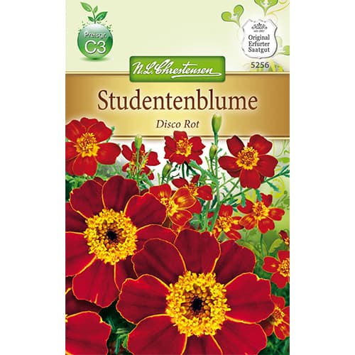 1 szt, Studentenblume Disco Rot - Samen: Ilość w opakowaniu: 1 Stück