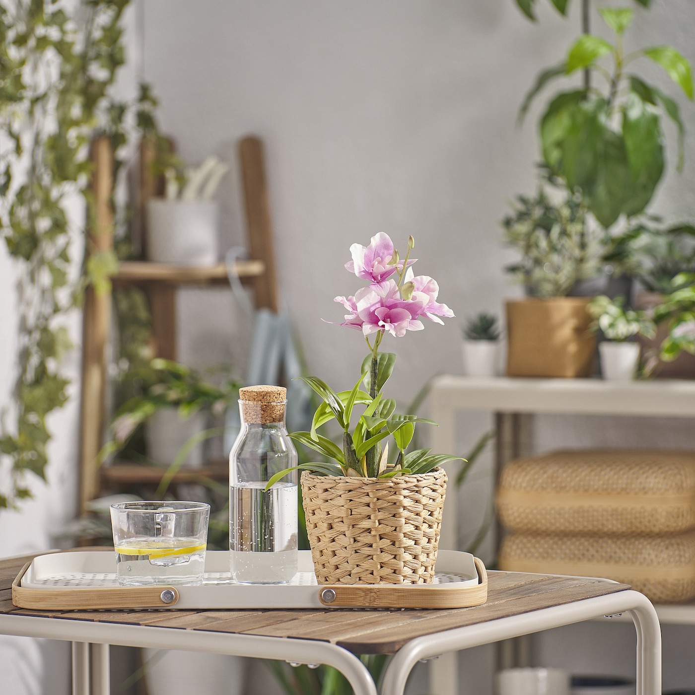 IKEA FEJKA sztuczna roślina doniczkowa, do wewnątrz/na zewnątrz/dendrobium szlachetne różowy, 12 cm