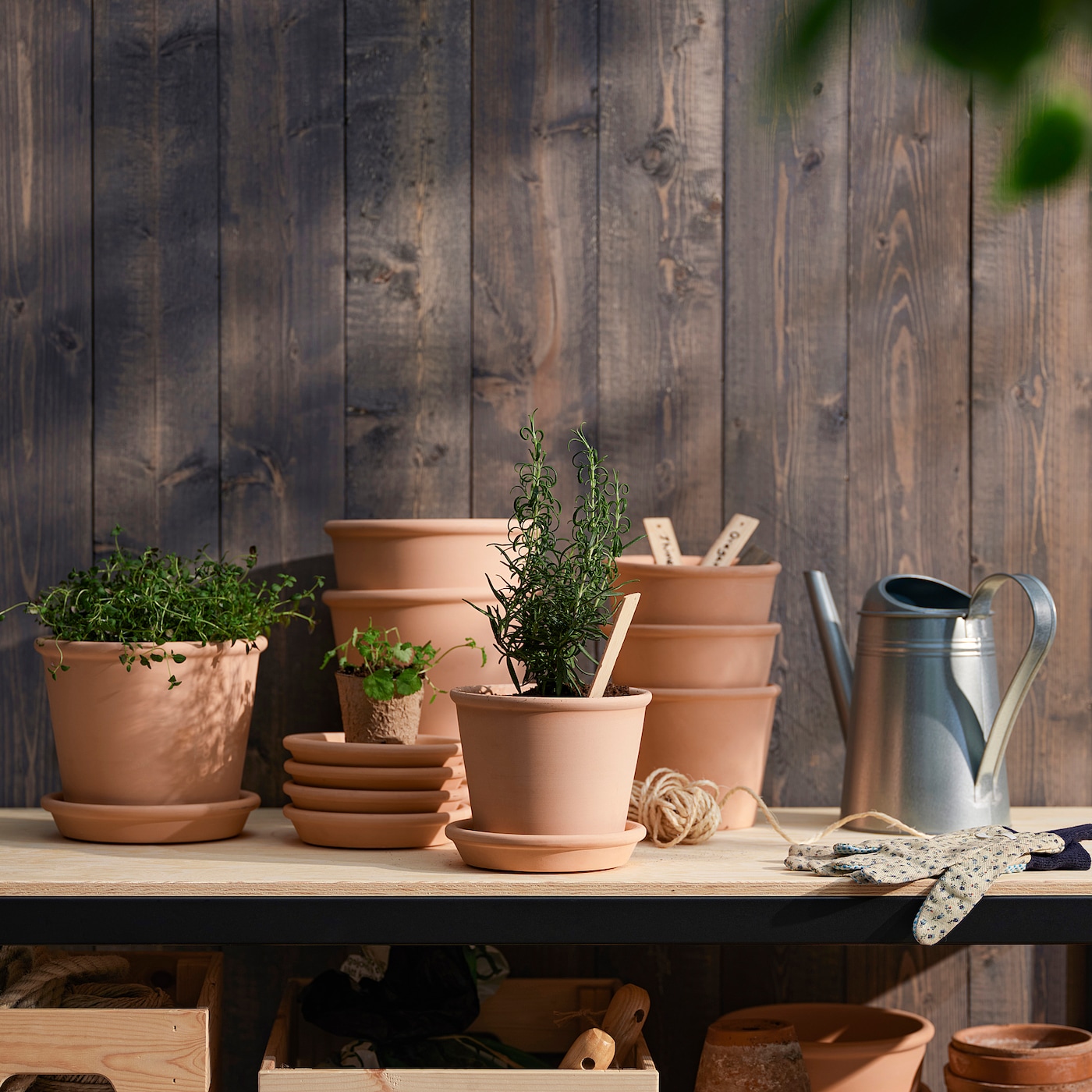 IKEA MUSKOTBLOMMA doniczka z podstawką, do wewnątrz/na zewnątrz terak, 15 cm