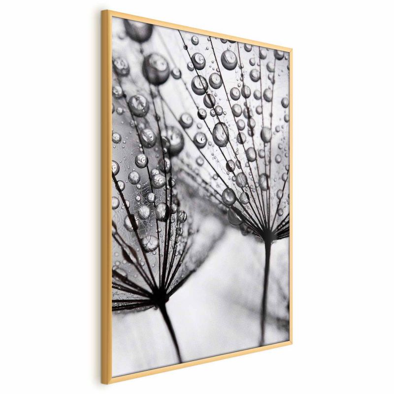 Plakat Artgeist Rosa 40x60 cm z ramą złotą 1 szt