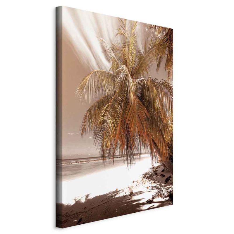 Obraz Artgeist Palmowy cień 40 x 60 cm flizelina 1 szt