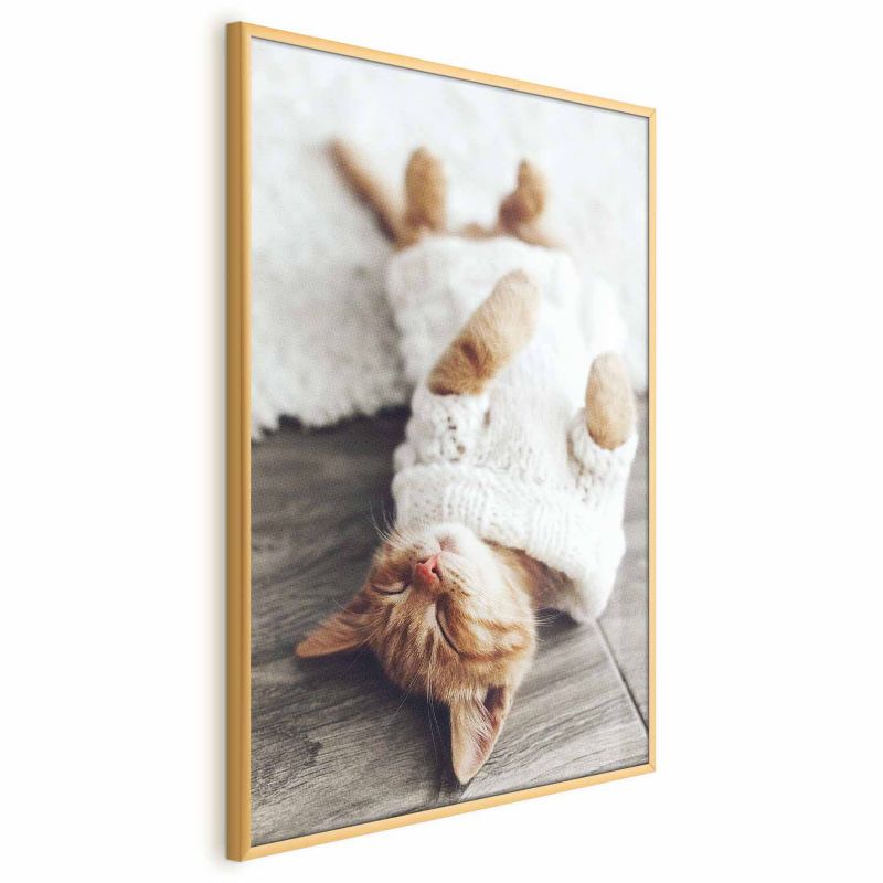 Plakat Artgeist Leniwy kot 40x60 cm z ramą złotą 1 szt