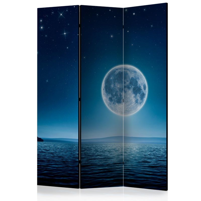 Parawan dwustronny Artgeist Pejzaże 135x172 cm Pejzaże 1 szt