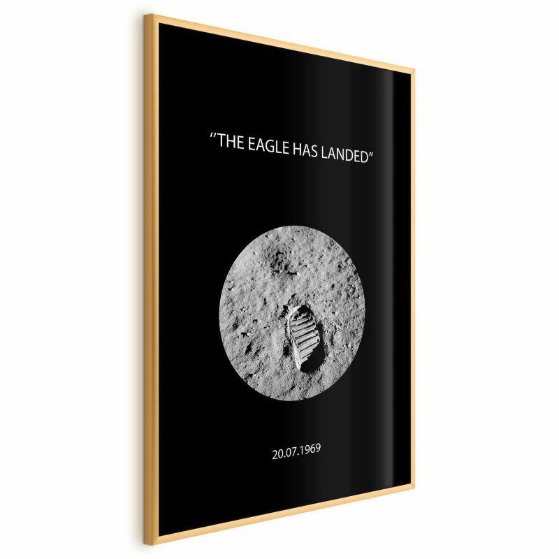 Plakat Artgeist The Eagle 29,7x42 cm z ramą złotą 1 szt