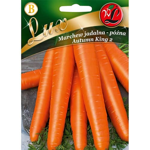 1 szt, Marchew późna Autumn King 2 - Nasiona: Ilość w opakowaniu: 5 g