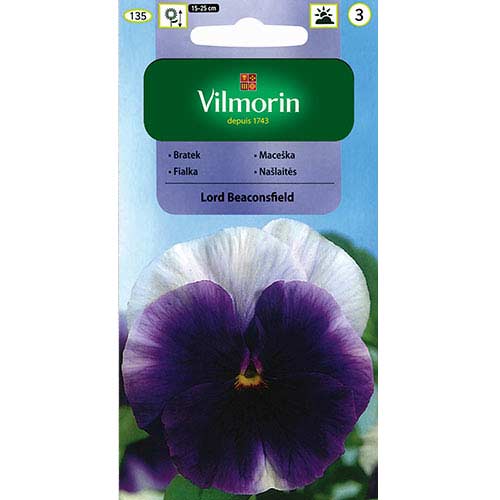 1 szt, Bratek wielkokwiatowy Szwajcarski Lord Beaconsfield Vilmorin - Nasiona: Ilość w opakowaniu: 0.5 g