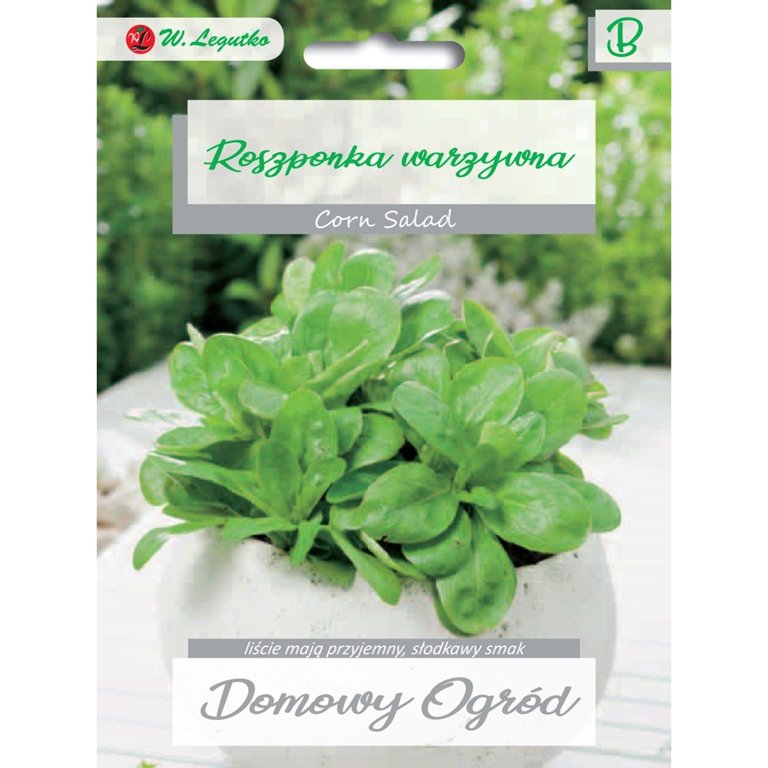 Roszponka warzywna Verte de Cambrai 2g