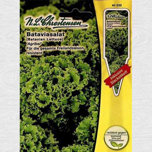 1 pac, Salată tip batavia Agribel - Semințe: Mod de ambalare: 1 pac