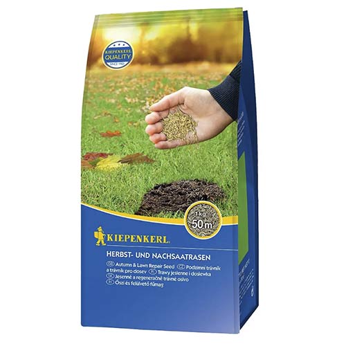 1 pac, Semințe gazon pentru toamnă și reînsămânțare - Semințe: Mod de ambalare: 1 kg