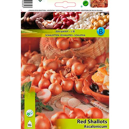 250 g, Šalotka červená - : Monžstvo balíkov: 250 g