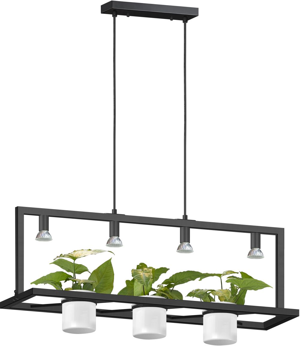 Zuma Line Planter lampa wisząca 4x7W LED czarny P0536-04B-P7AB