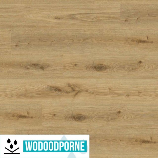 Panele winylowe SPC TARKETT ESSENCE RIGID 55 PRIMARY OAK NATURAL KL 2
