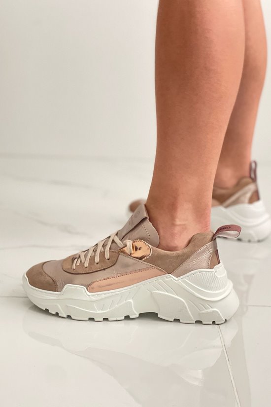Sneakers SNZ Champagne wada