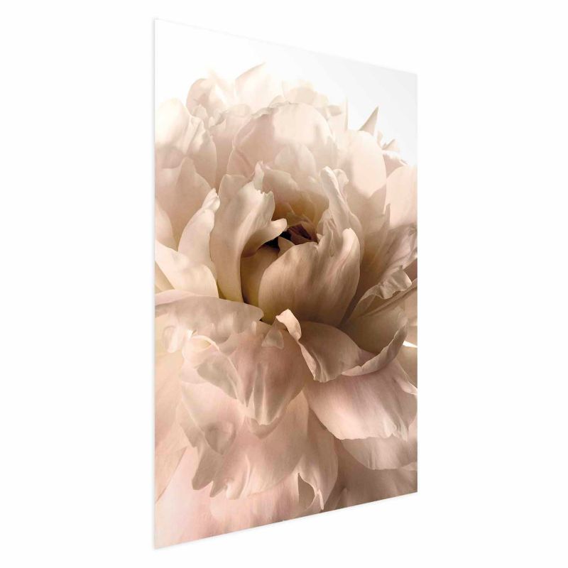 Plakat Artgeist Miękkie płatki 40x60 cm bez ramy 1 szt