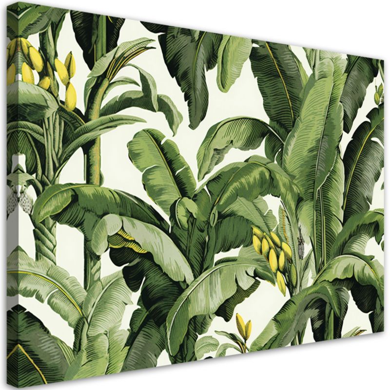 Obraz do salonu pokoju Feeby Zielone Liście bananowca 120x80cm 1szt