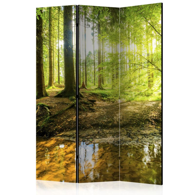 Parawan jednostronny Artgeist Pejzaże 135x172 cm Pejzaże 1 szt