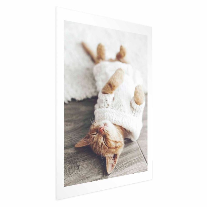 Plakat Artgeist Leniwy kot 60x90 cm bez ramy 1 szt