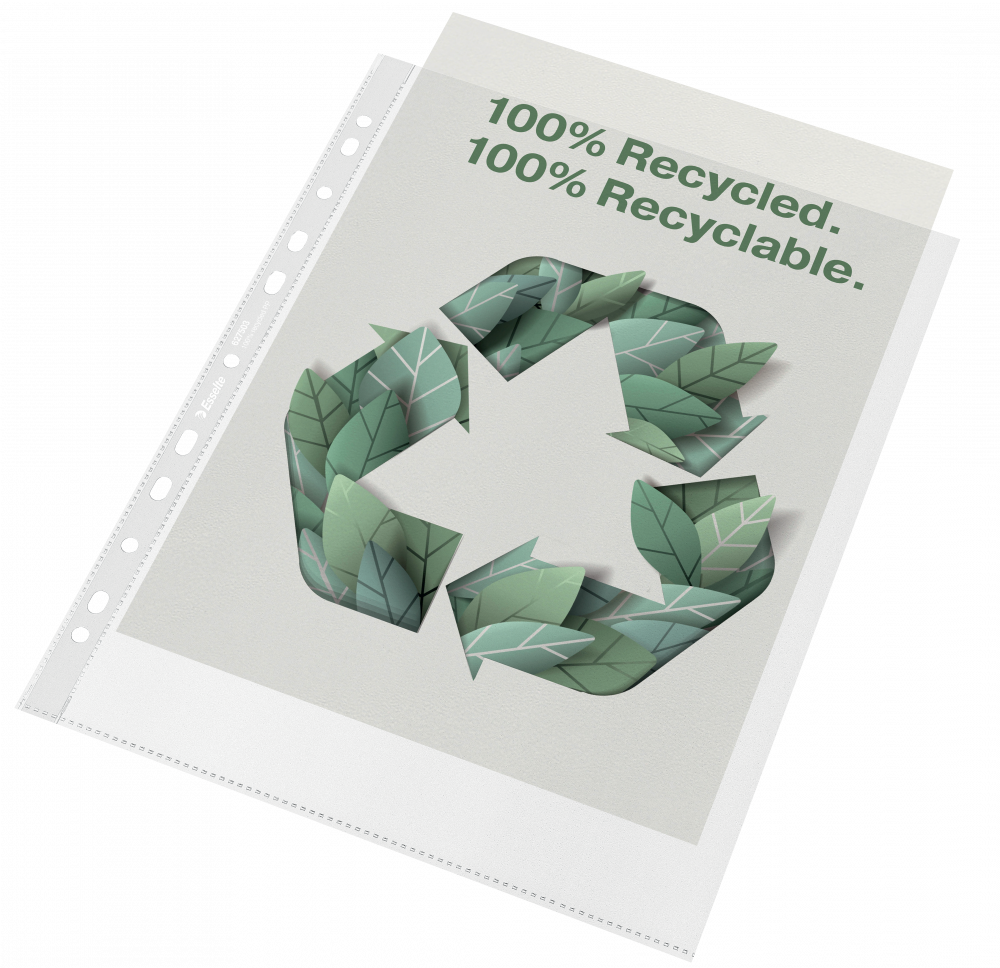 Koszulki groszkowe Esselte Recycle Premium, A4 maxi, 70μm, 50 sztuk, transparentny