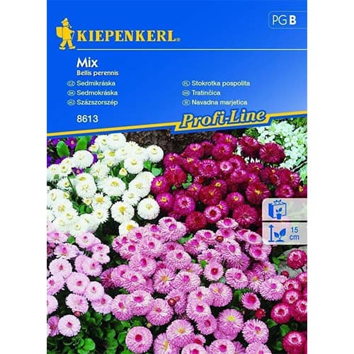1 pac, Margaretă dublă, mix multicolor - Semințe: Mod de ambalare: 1 pac