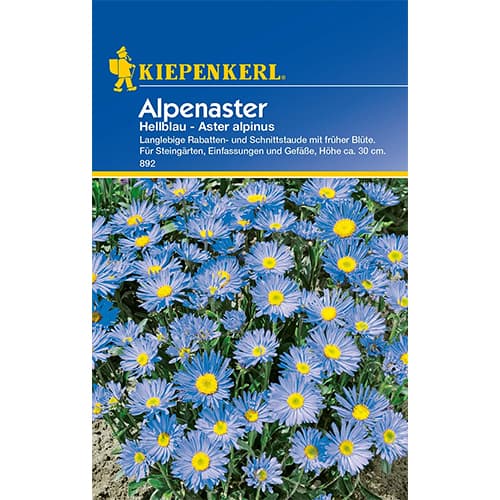 1 pac, Aster alpin Light Blue - Semințe: Mod de ambalare: 1 pac