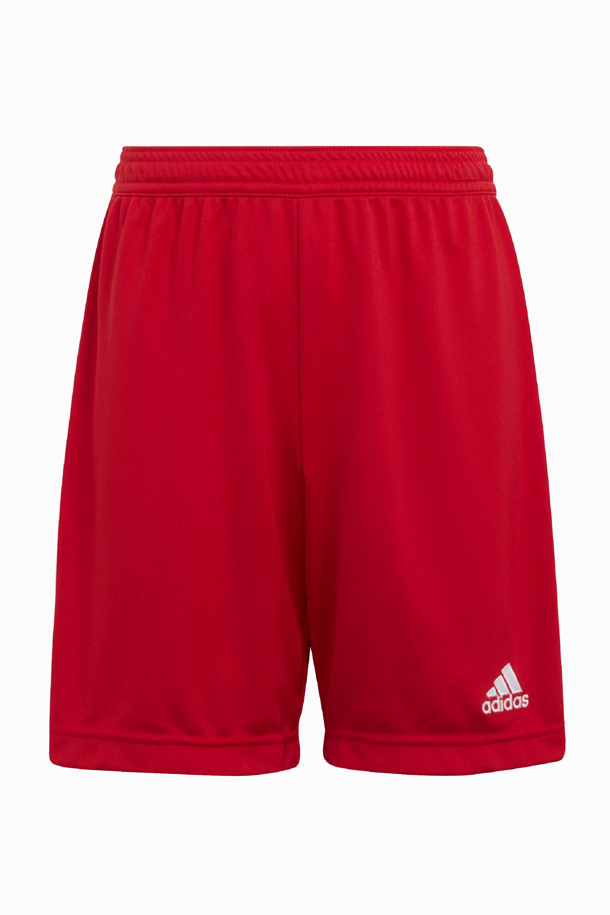 Spodenki adidas FC Wrocław Academy 23/24 - Czerwony