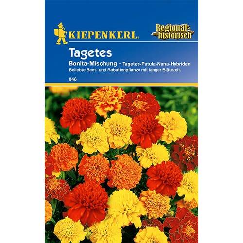 1 szt, Tagetes Bonita Mischung - Samen: Ilość w opakowaniu: 1 Stück