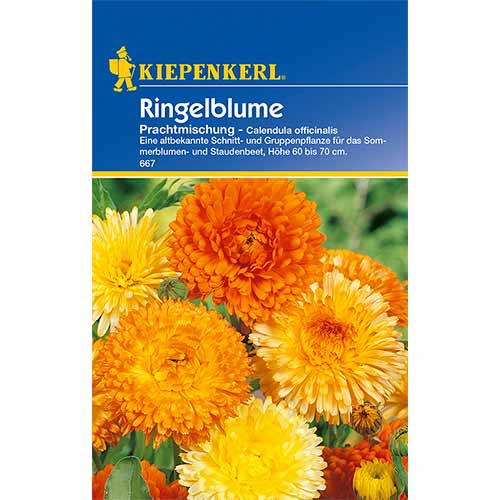 1 szt, Ringelblumen Sunrise, mix - Samen: Ilość w opakowaniu: 1 Stück