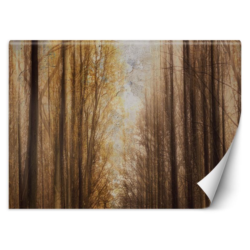 Fototapeta Feeby Jesień Las Drzewa 100x70 1 szt