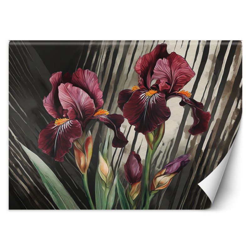 Fototapeta Feeby Abstrakcja czerwone kwiaty 150x105 1 szt