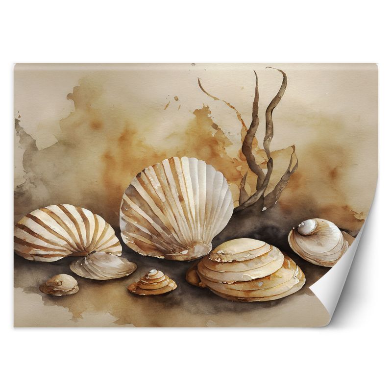 Fototapeta Feeby marynistyczny muszle akryl 450x315 1 szt