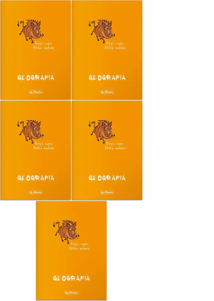5x Zeszyt przedmiotowy w kratkę Herlitz ECO Geografia, A5, miękka oprawa, 60 kartek, pomarańczowy
