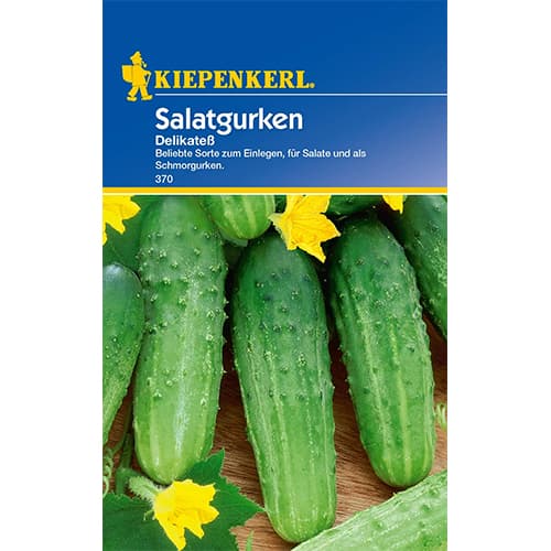 1 szt, Salatgurke Delikatess - Samen: Ilość w opakowaniu: 1 Stück