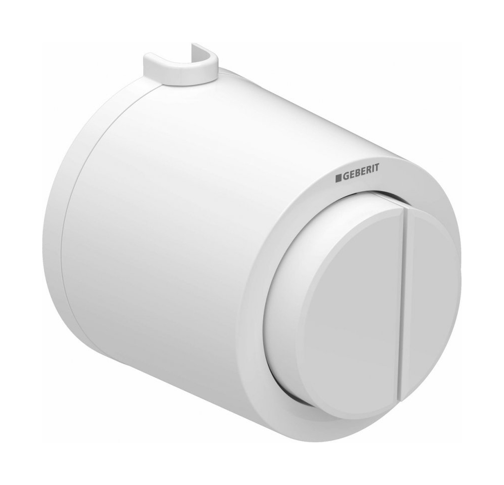 Geberit Typ 01 przycisk spłukujący do WC biały 116.049.11.1