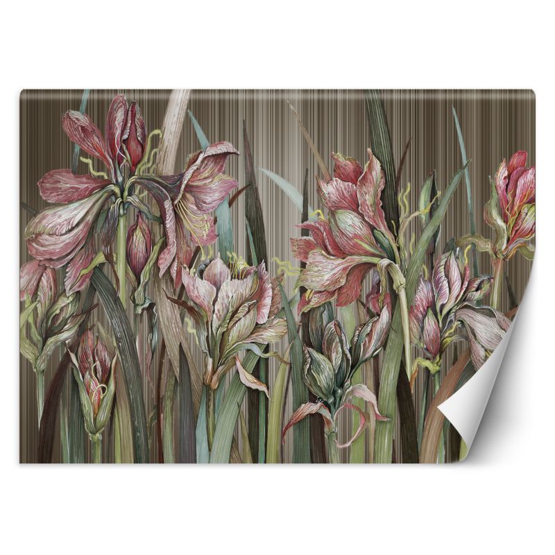 Fototapeta Feeby Kwiaty amarylisa 150x105 1 szt