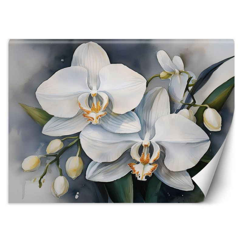 Fototapeta Feeby Kwiat orchidei Abstrakcja 100x70 1 szt